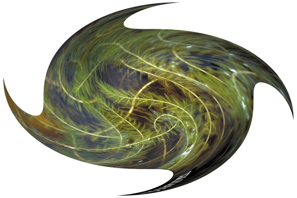 From http://www.cadillac-mi.net/index.aspx?NID=383