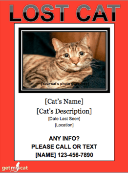 From http://www.getmycat.com/lost-cat-flyer-template/