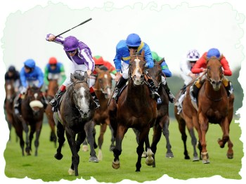 Horse Racing