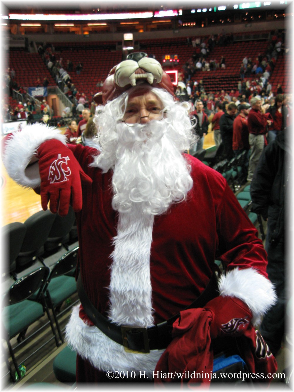 Santa Coug