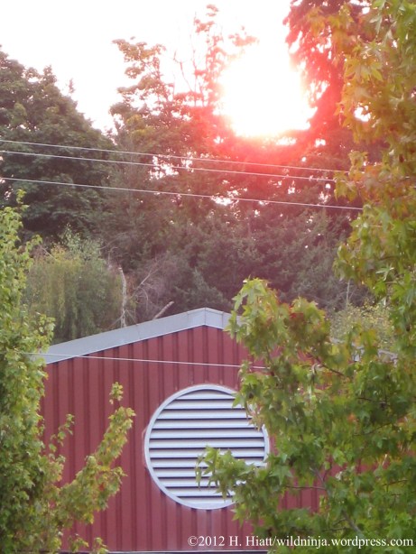 Fire Sunrise 9-13-12 1