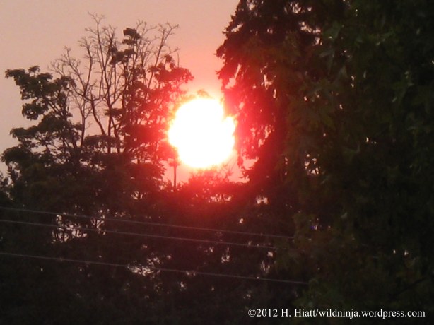 Fire Sunrise 9-13-12 2