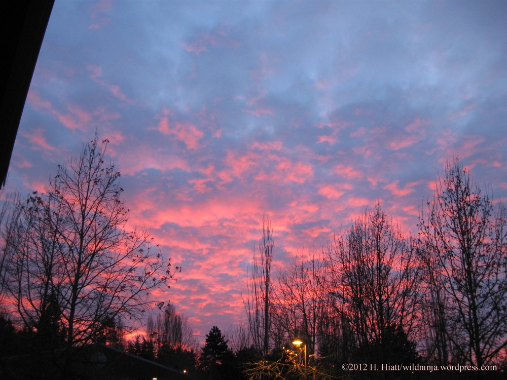 Sunrise 12-31-12 1