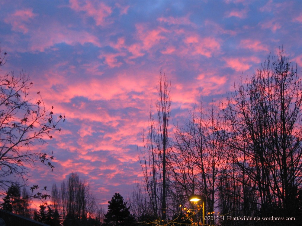 Sunrise 12-31-12 2