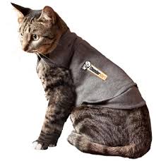 Thundershirt for Cats