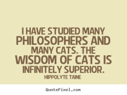 Taine Cat Quote