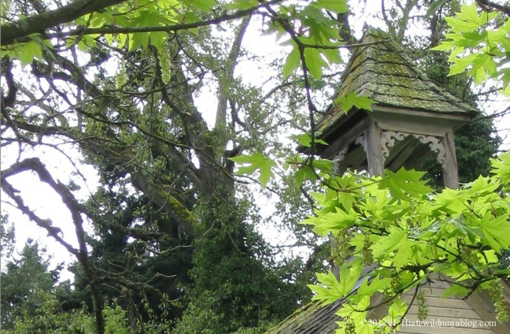 Pleasant Ridge School 3