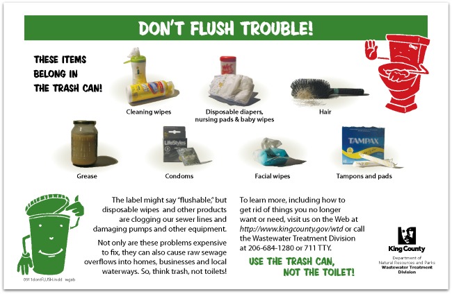 King County No Flush