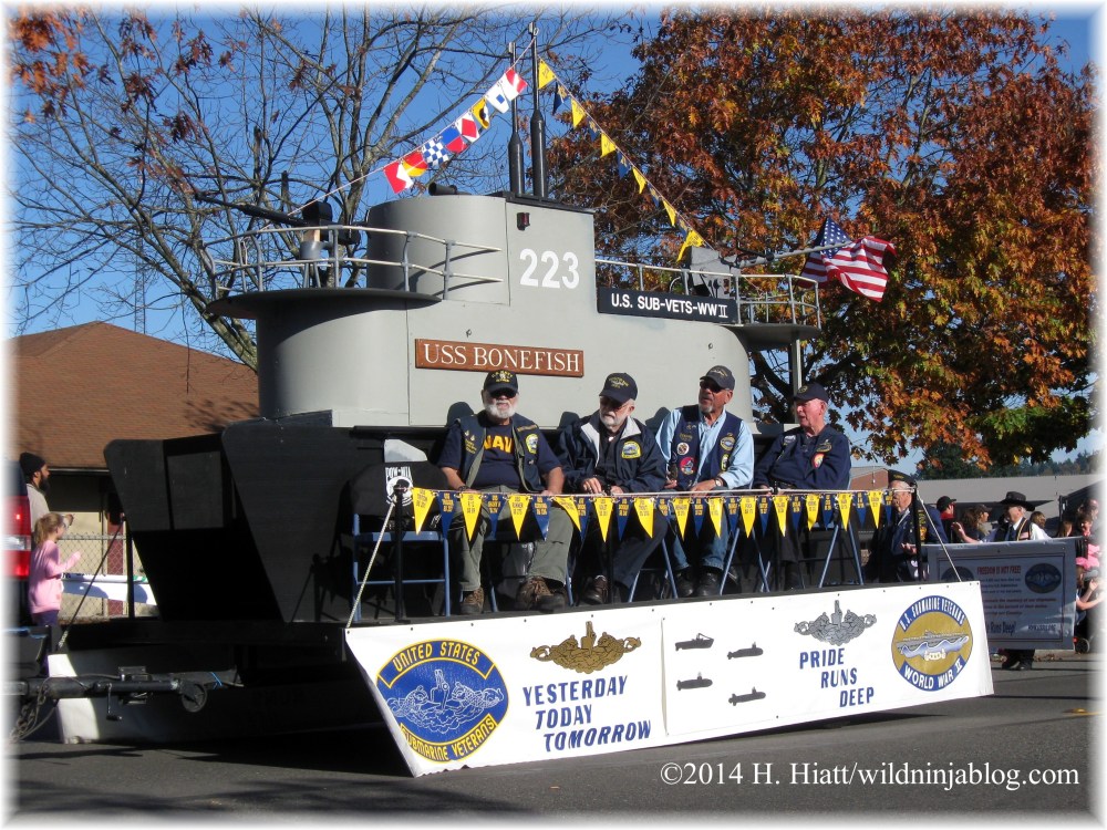 Auburn Veterans Day Parade 2014 11