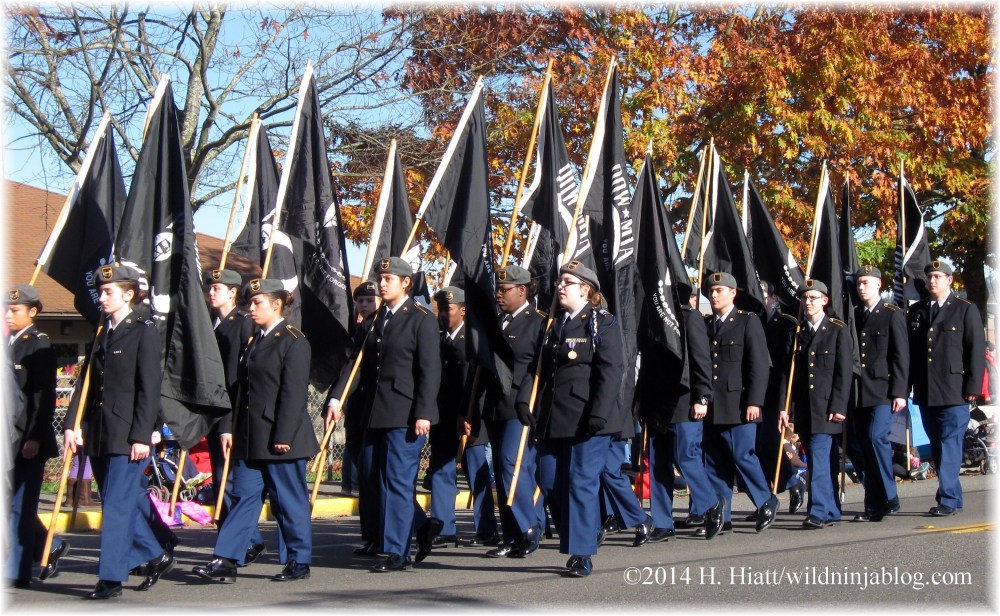 Auburn Veterans Day Parade 2014 12