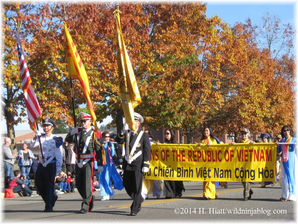 Auburn Veterans Day Parade 2014 14