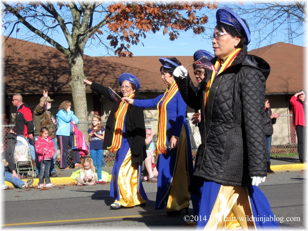 Auburn Veterans Day Parade 2014 15
