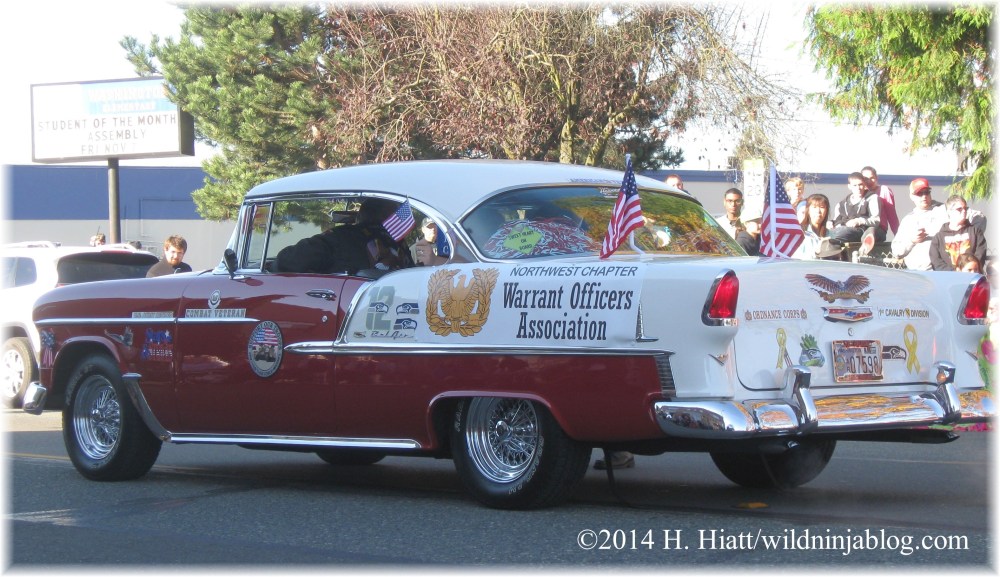 Auburn Veterans Day Parade 2014 16