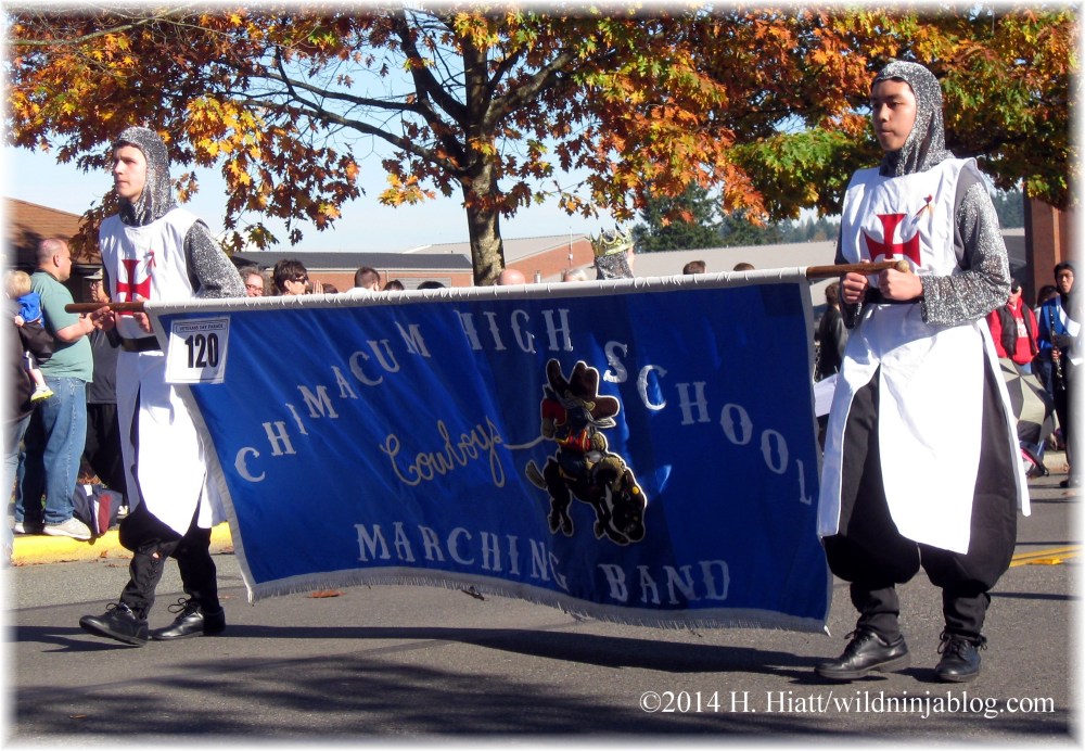 Auburn Veterans Day Parade 2014 18