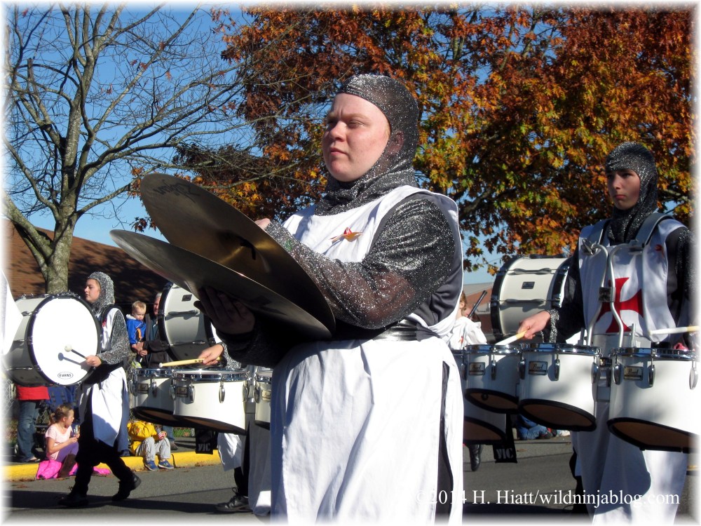 Auburn Veterans Day Parade 2014 19