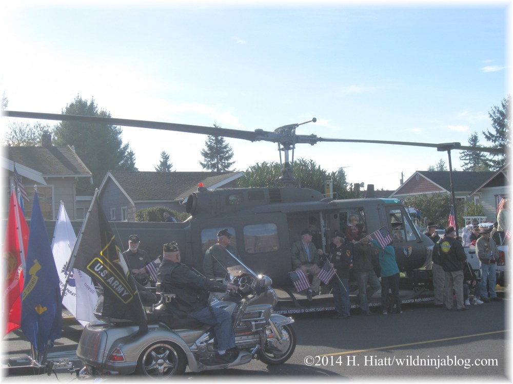 Auburn Veterans Day Parade 2014 2