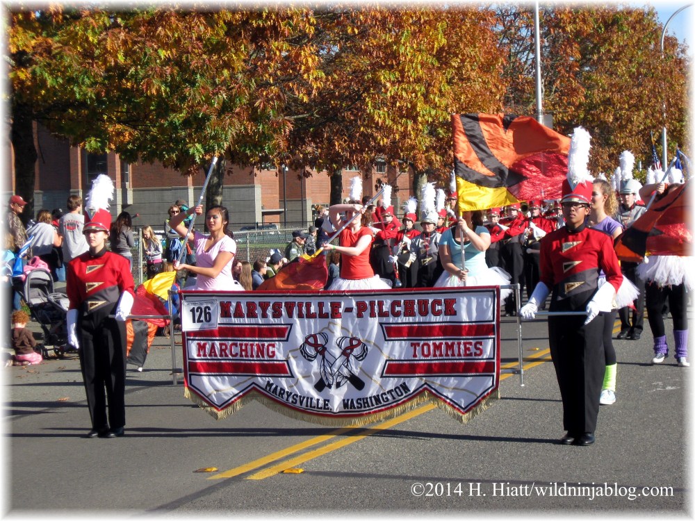 Auburn Veterans Day Parade 2014 20