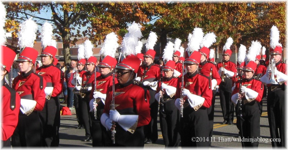Auburn Veterans Day Parade 2014 21