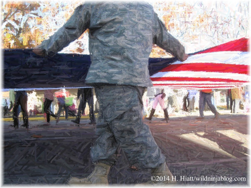 Auburn Veterans Day Parade 2014 22