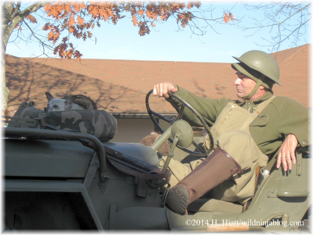 Auburn Veterans Day Parade 2014 24