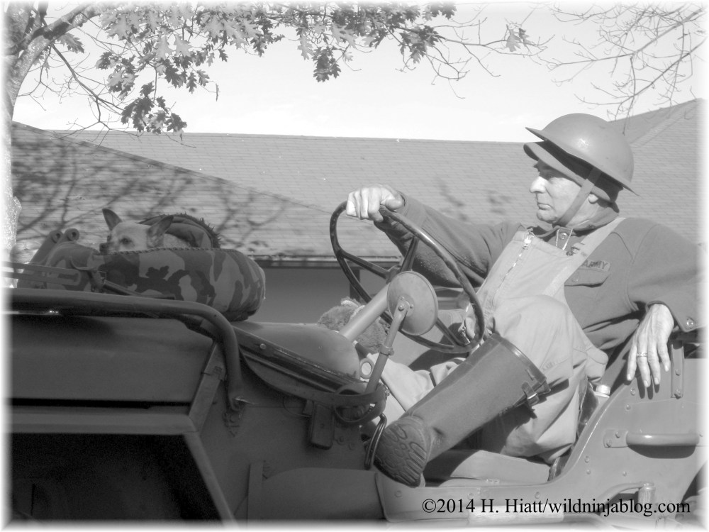 Auburn Veterans Day Parade 2014 25
