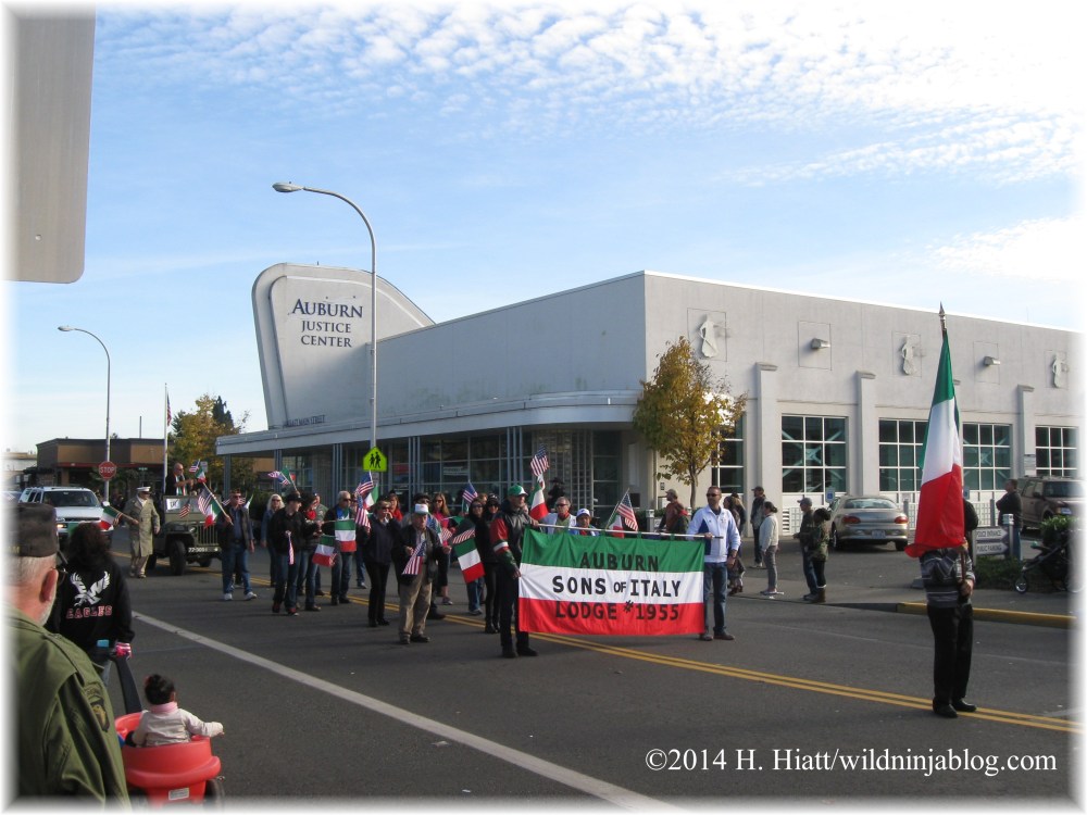 Auburn Veterans Day Parade 2014 34