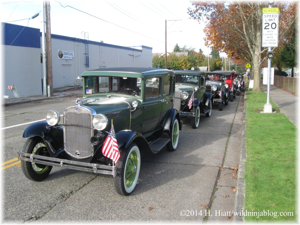 Auburn Veterans Day Parade 2014 37