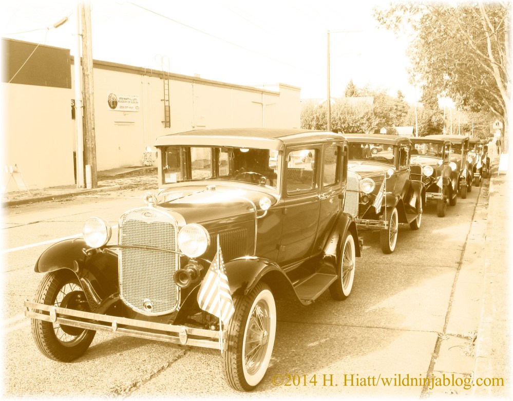 Auburn Veterans Day Parade 2014 38