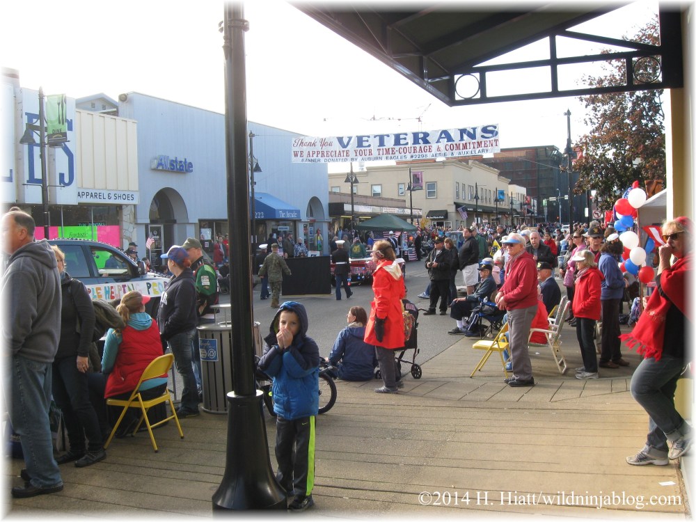 Auburn Veterans Day Parade 2014 39