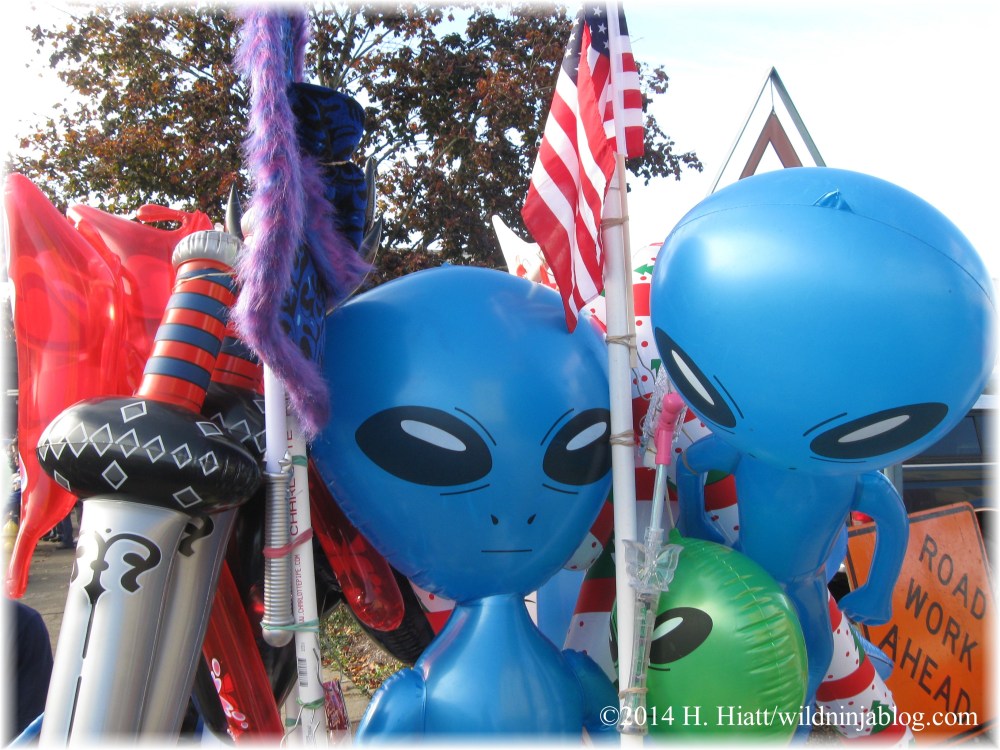 Auburn Veterans Day Parade 2014 40