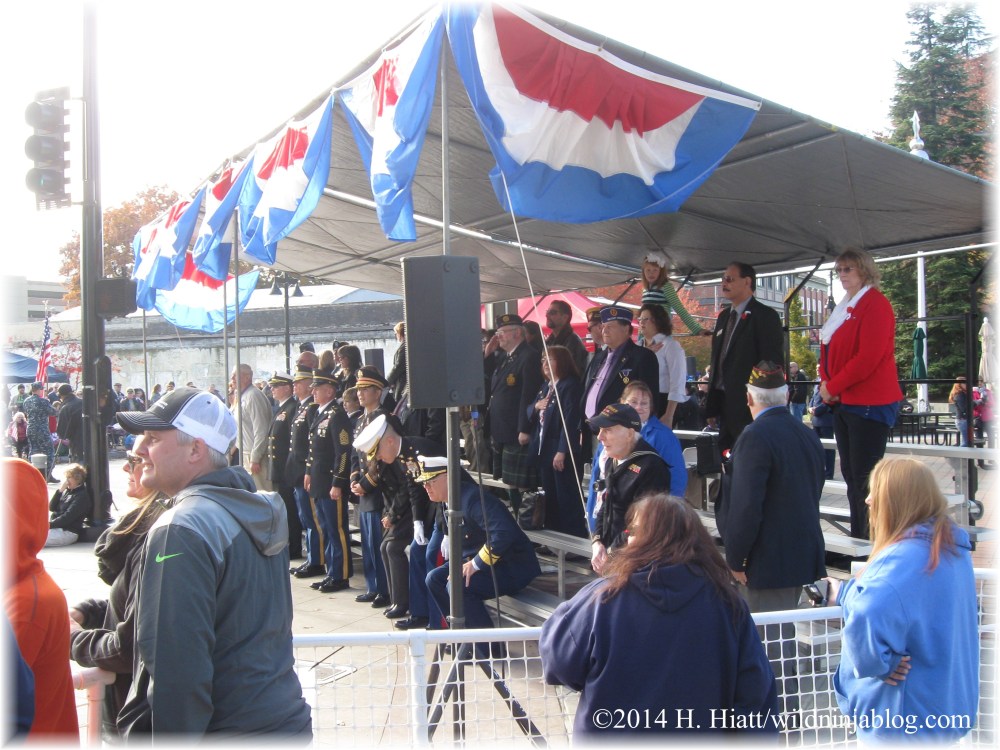 Auburn Veterans Day Parade 2014 41