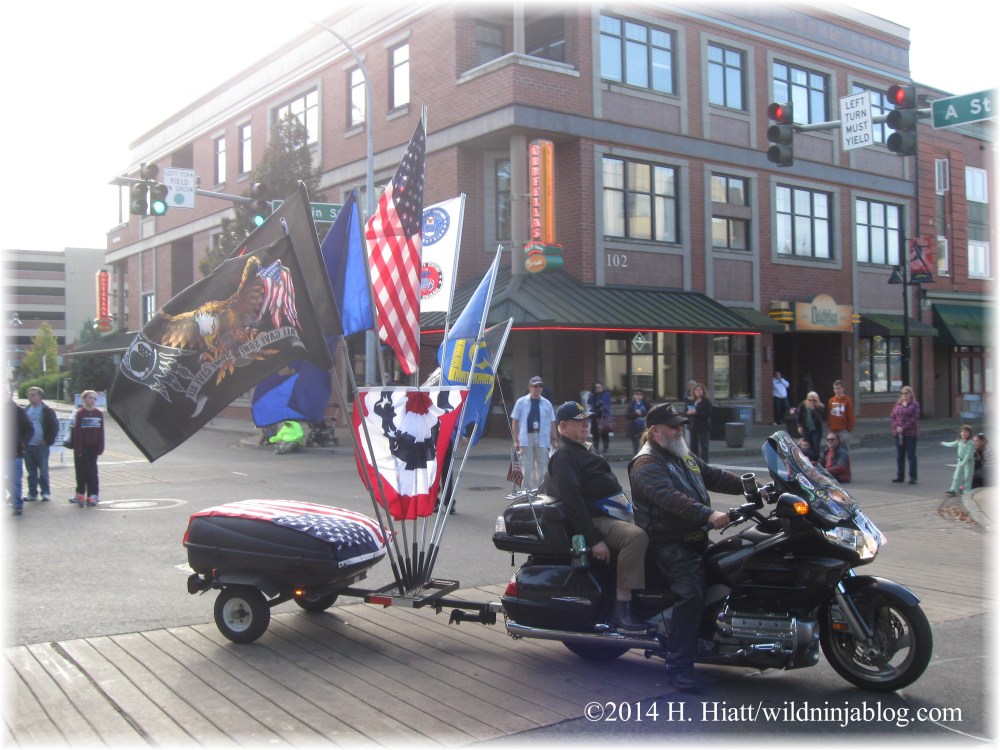 Auburn Veterans Day Parade 2014 42