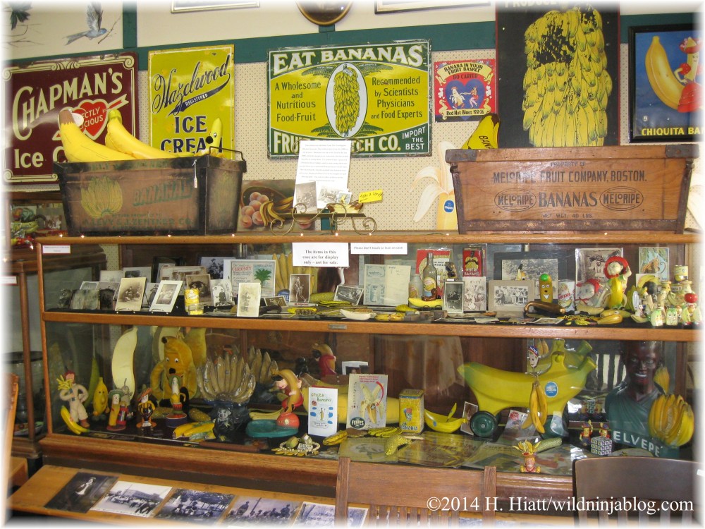 Auburn Veterans Day Parade 2014 43