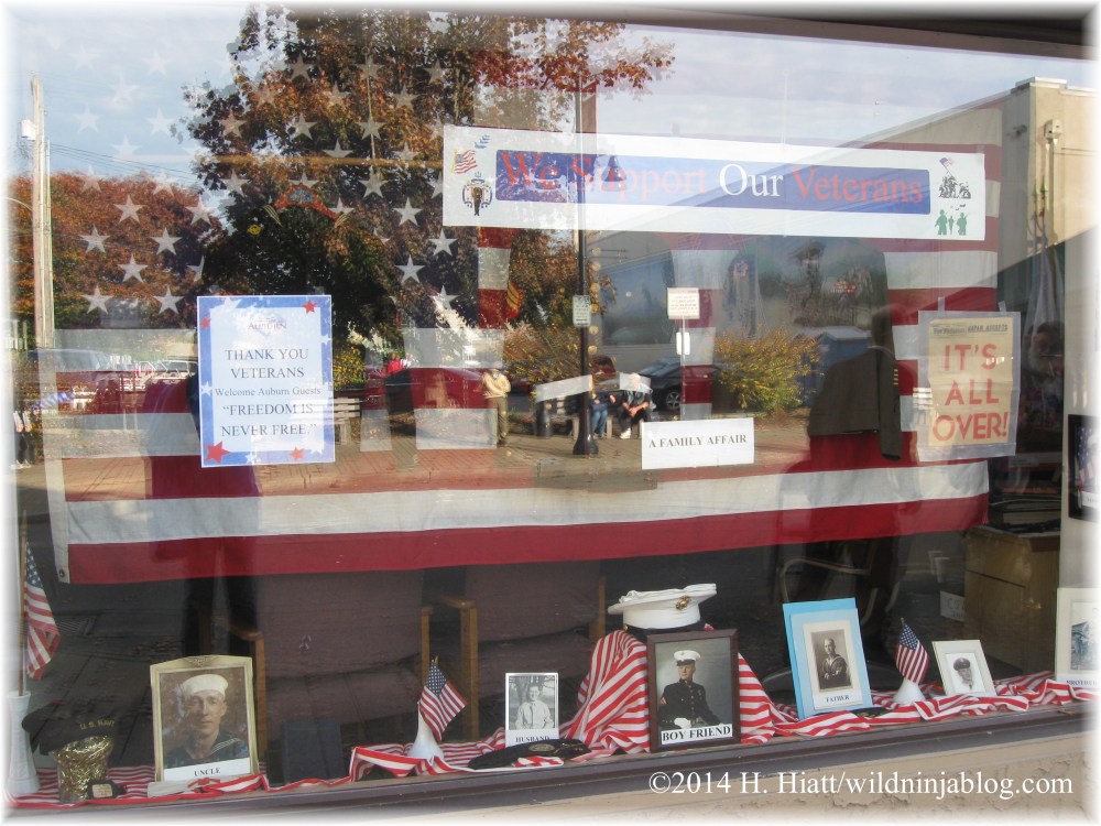 Auburn Veterans Day Parade 2014 45