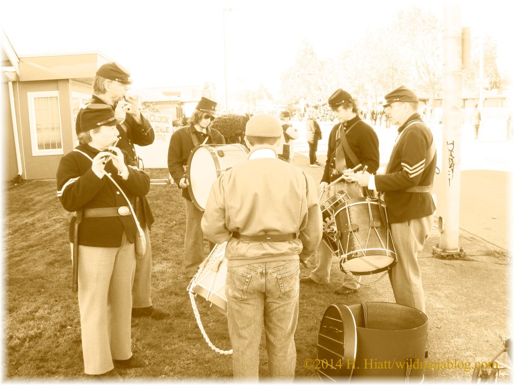 Auburn Veterans Day Parade 2014 5