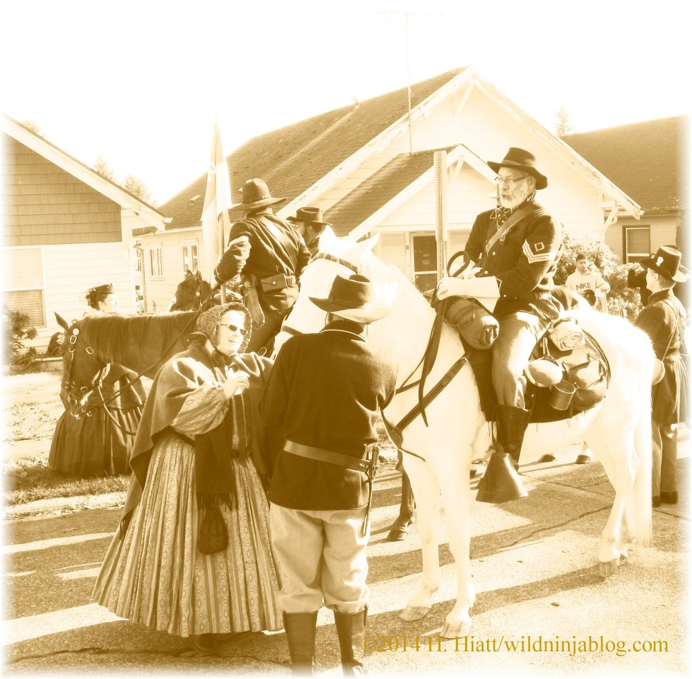 Auburn Veterans Day Parade 2014 8