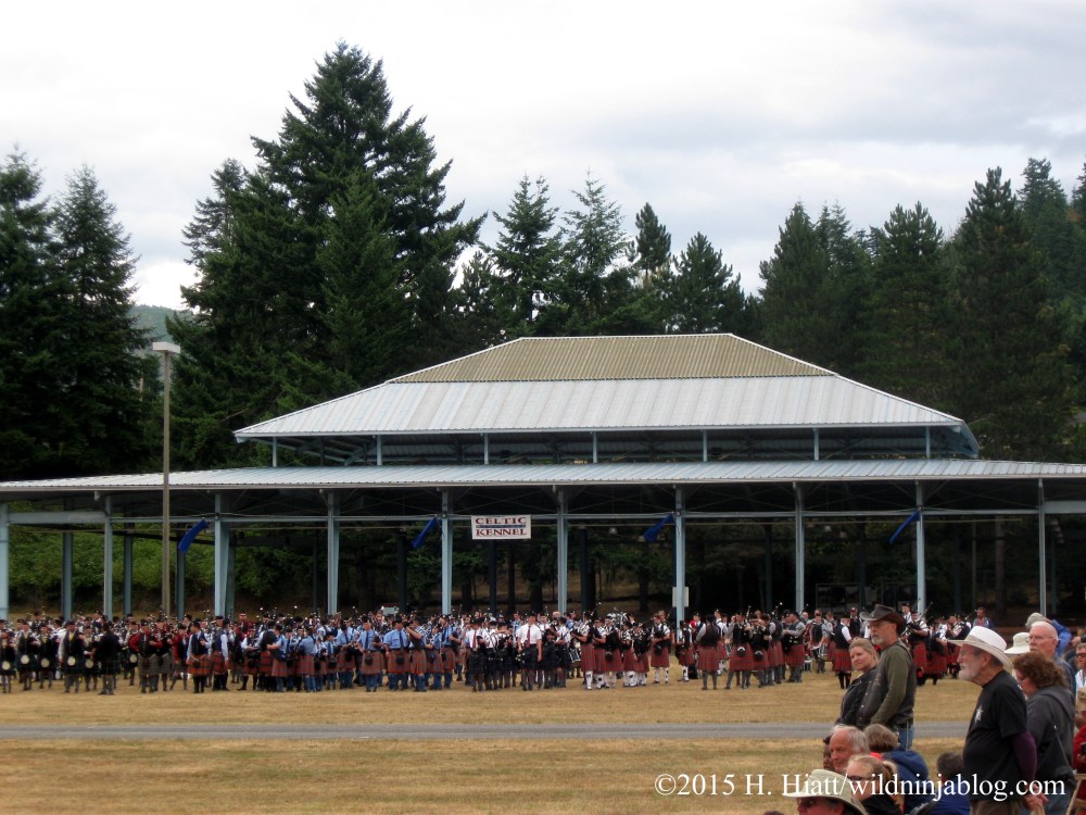 Seattle Highland Games 2015 28