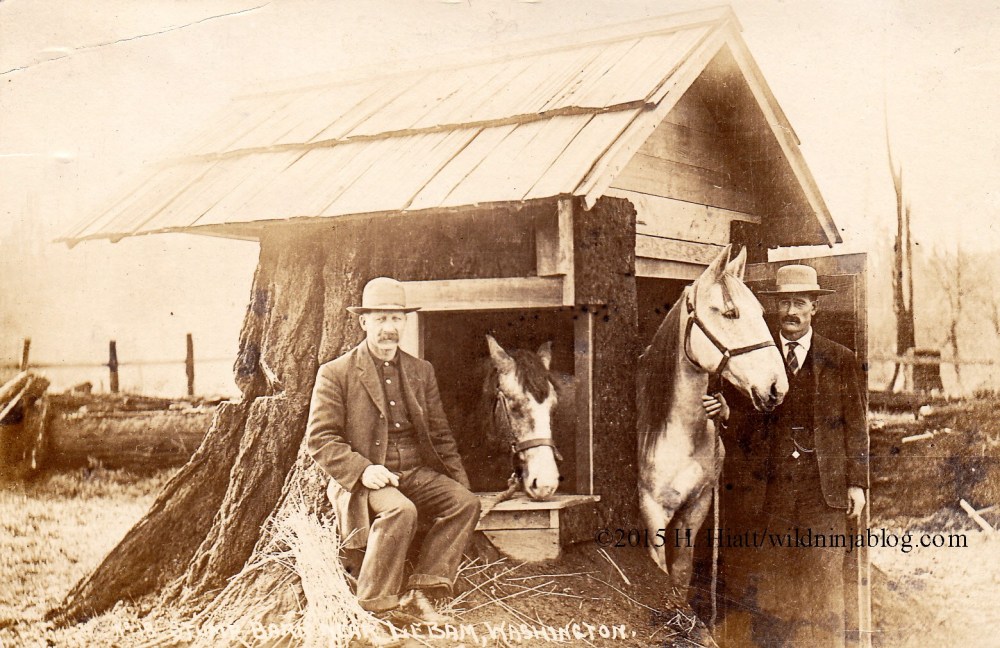 Stump Barn LeBam, Washington