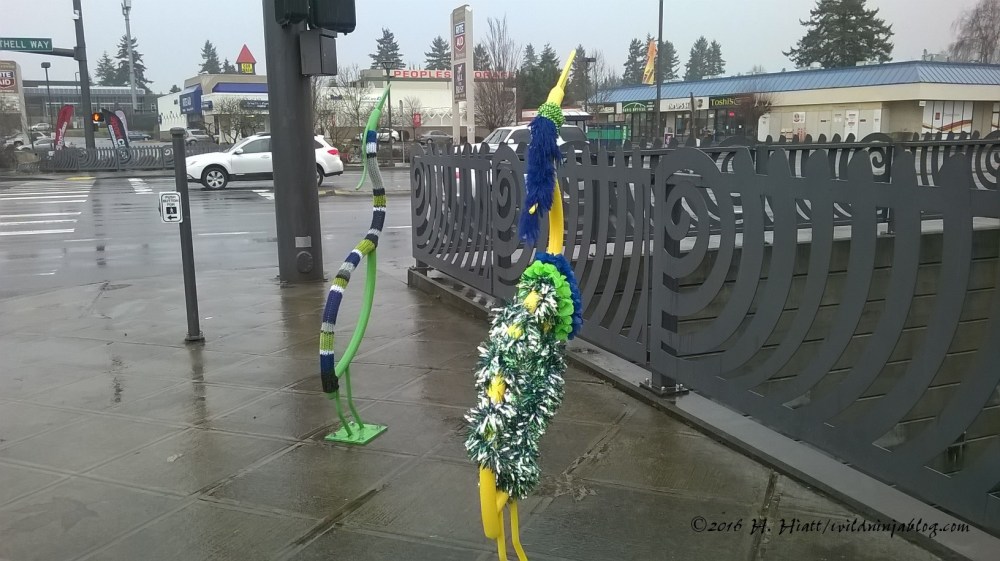 Seahawks Herons 1-17-16