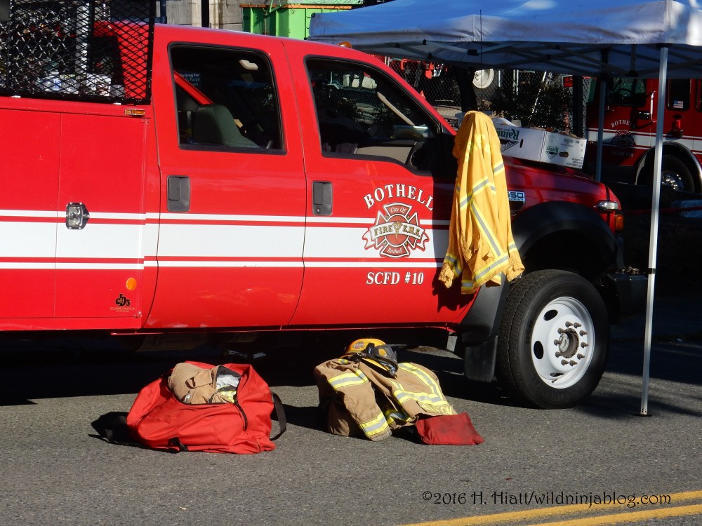 Bothell Fire 55