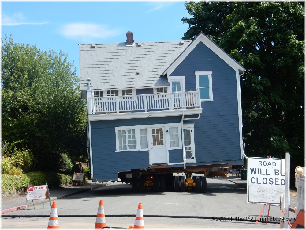 Trueblood House 8-17 16