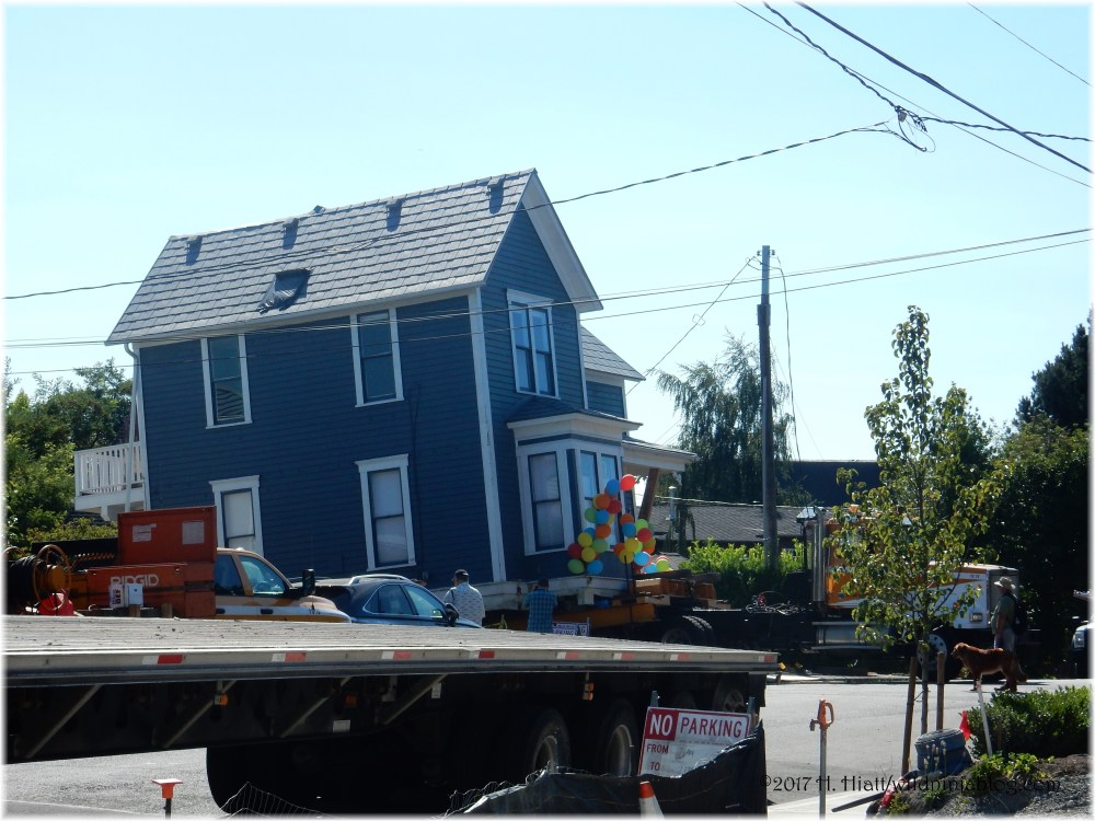 Trueblood House 8-17 18