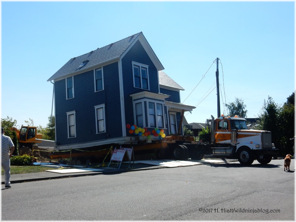 Trueblood House 8-17 19