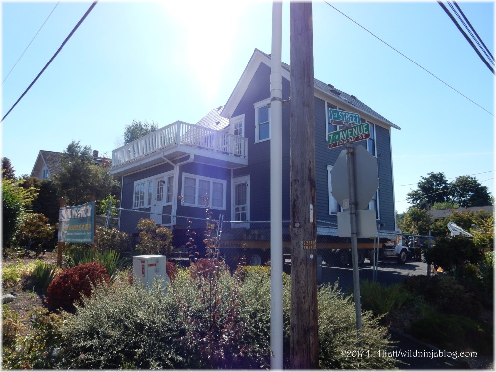 Trueblood House 8-17 3