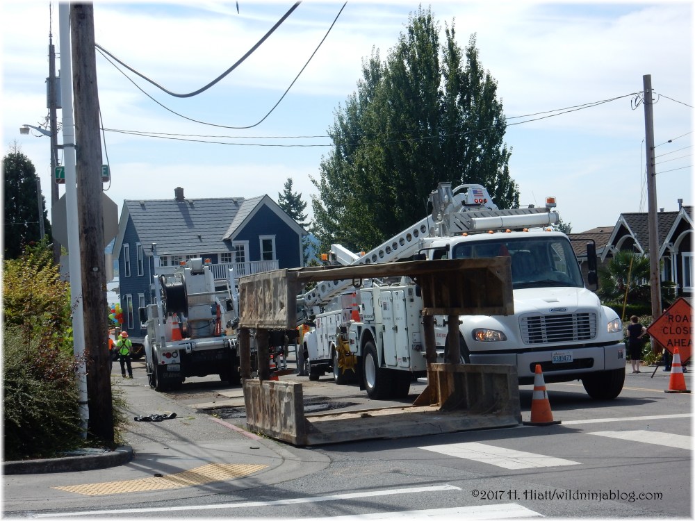 Trueblood House 8-17 6