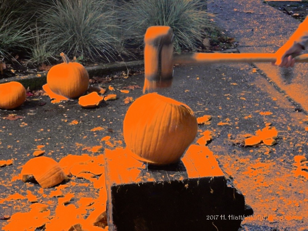 Pumpkin Smash 10.jpg