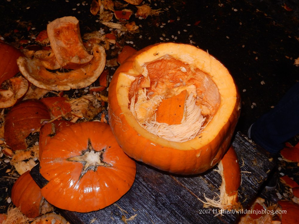 Pumpkin Smash 5