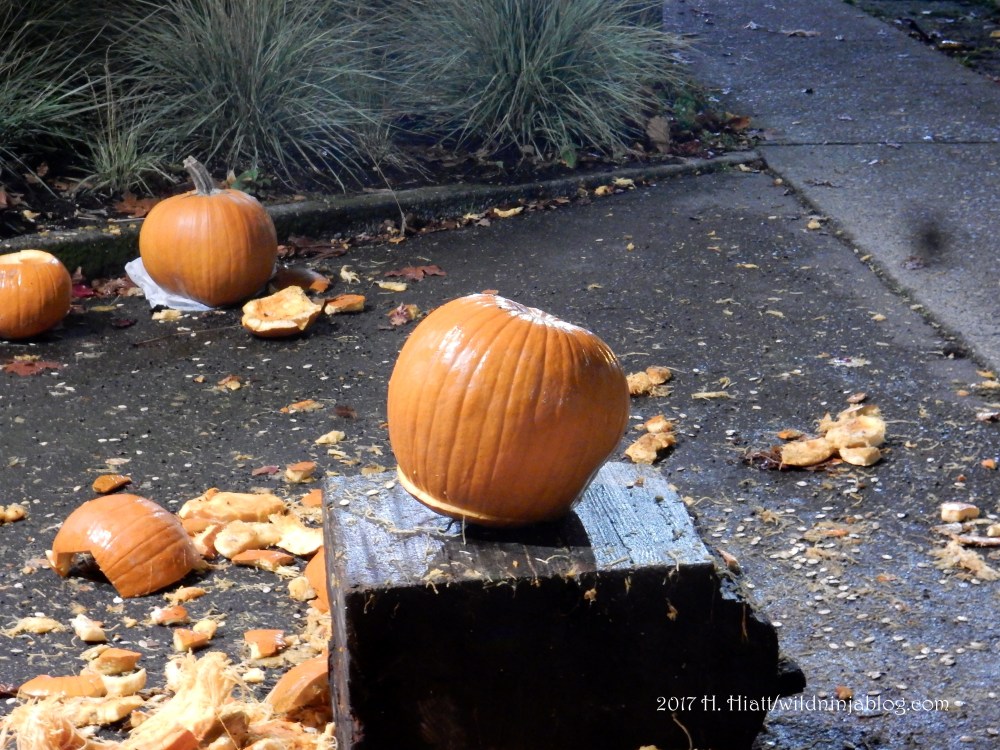 Pumpkin Smash 7