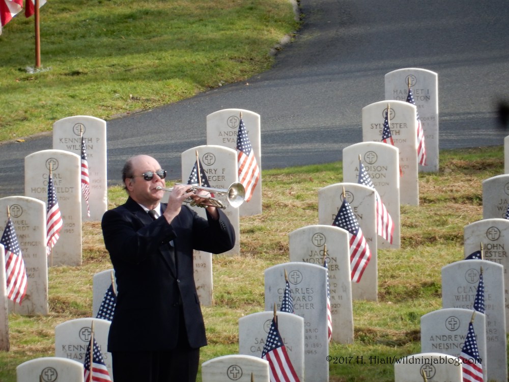 Veterans Day 11-10-17 10