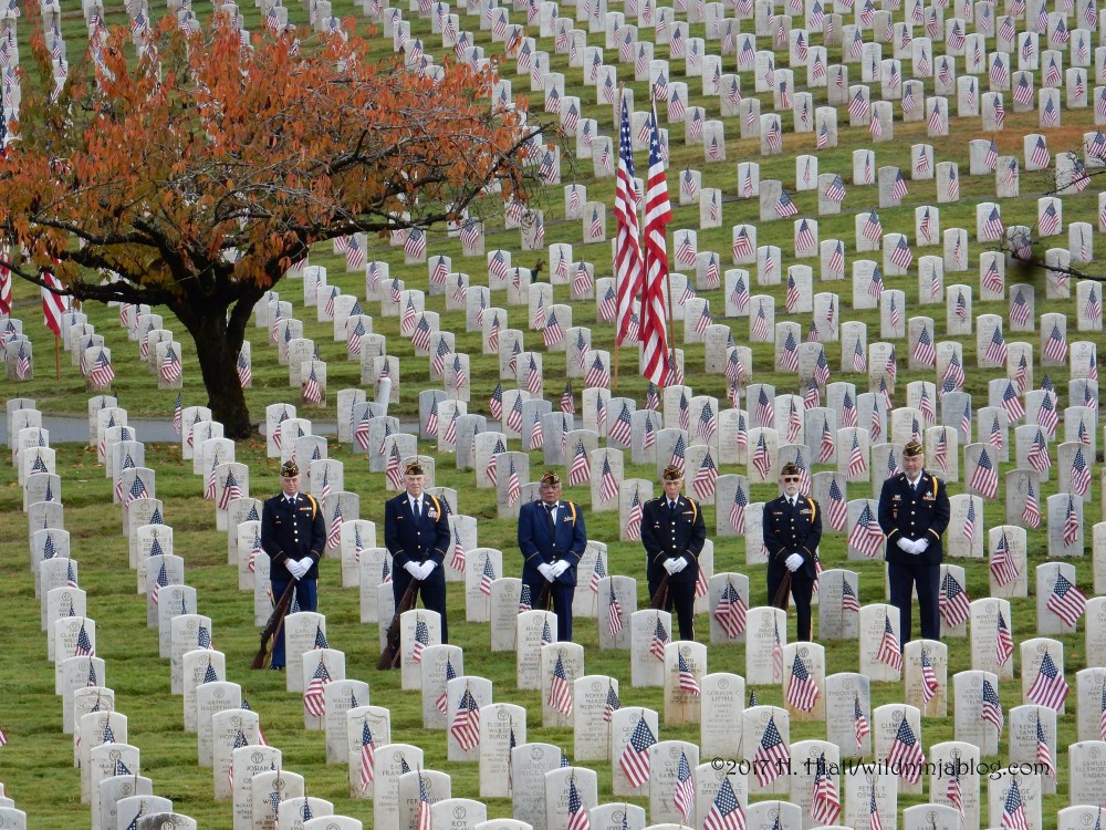 Veterans Day 11-10-17 7